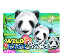slotxo XOSLOT Wild Giant Panda slotxo1234
