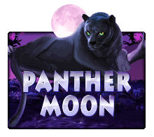 slotxo XOSLOT Panther Moon slotxo1234