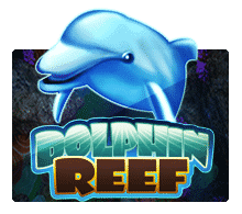 slotxo XOSLOT Dolphin Reef slotxo omg