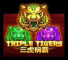 slotxo XOSLOT Triple Tigers slotxo1234