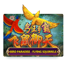 snk slotxo - Bird Paradise