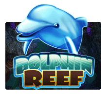 slotxo 918 เครดิตฟรี - Dolphin Reef