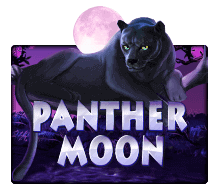 เว ป slotxo - Panther Moon