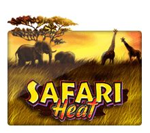 slotxo 77 - Safari Heat