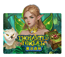 Enchanted Forest slotxo ฟรี เครดิต ไม่ต้องฝาก ไม่ต้องแชร์