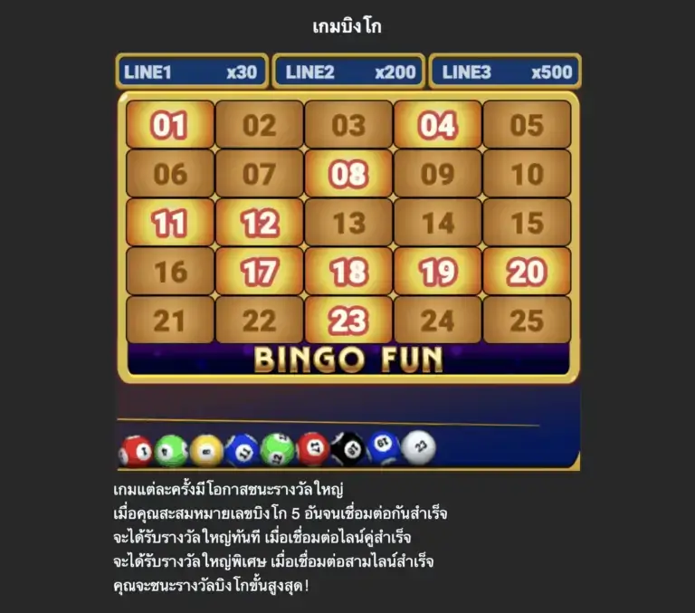 BINGO FUN Mannaplay slotxo 51