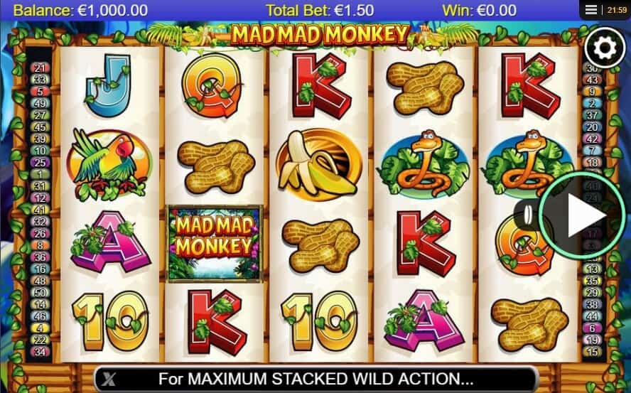 Money Mad Monkey สล็อต Microgaming จาก slotxo aec999