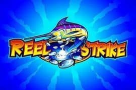 Reel Strike สล็อต Microgaming จาก slot slotxo