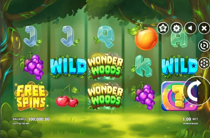 Wonder Woods สล็อต Microgaming จาก slotxo มาใหม่