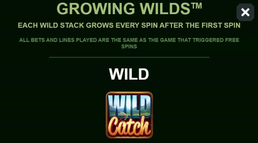 Wild Catch สล็อต Microgaming จาก slotxo 311