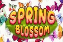 Spring Blossom สล็อต เว็บตรง KA Gaming แตกง่าย