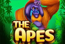 The Apes สล็อต เว็บตรง KA Gaming แตกง่าย