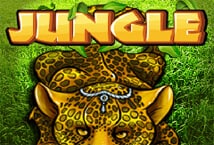 Jungle สล็อต เว็บตรง KA Gaming แตกง่าย