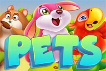 Pets สล็อต เว็บตรง KA Gaming แตกง่าย