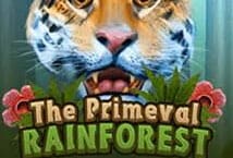 Primeval Rainforest สล็อต เว็บตรง KA Gaming แตกง่าย
