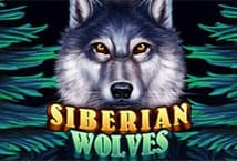 Siberian Wolves สล็อต เว็บตรง KA Gaming แตกง่าย