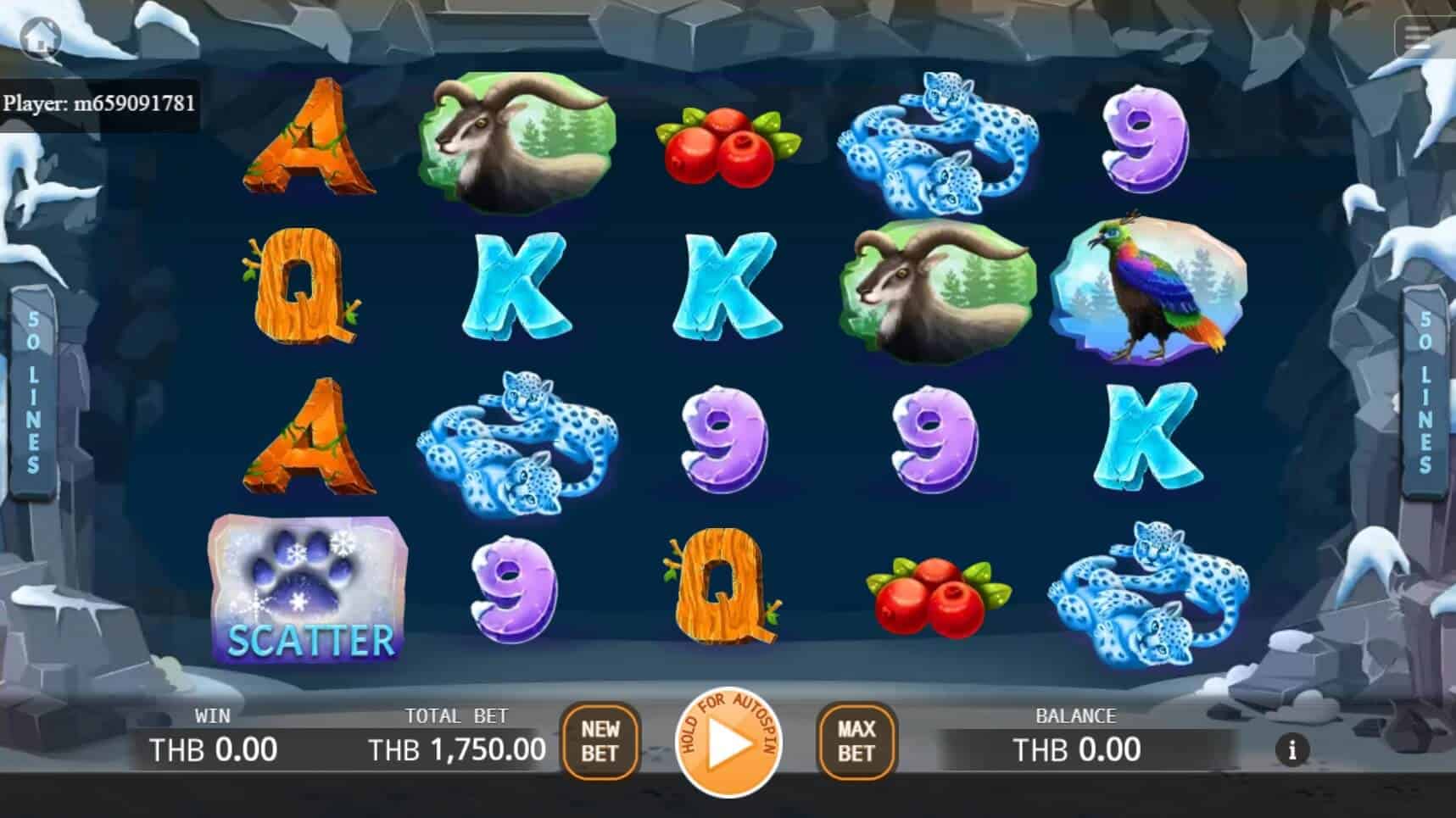 Snow Leopards สล็อต เว็บตรง KA Gaming แตกง่าย เกม xo สล็อต