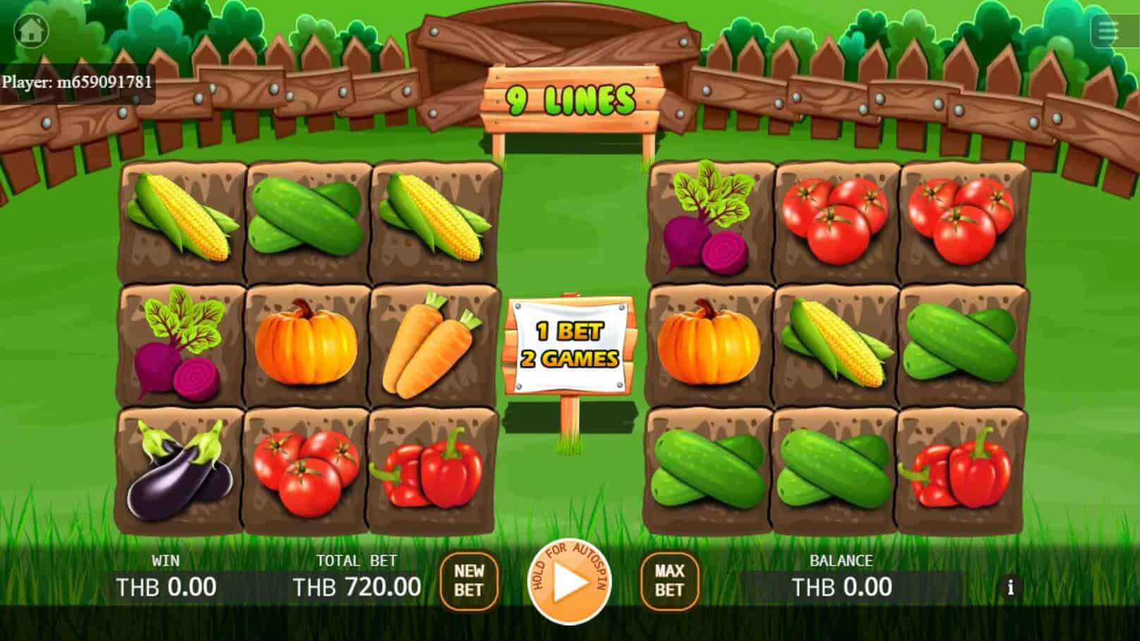 Veggies Plot สล็อต เว็บตรง KA Gaming แตกง่าย slotxo เล่น ฟรี