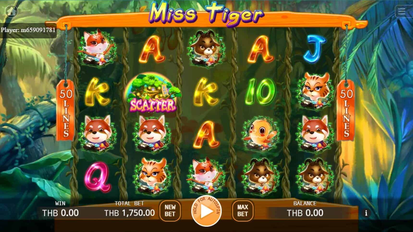 Miss Tiger เว็บตรง KA Gaming แตกง่าย 168 สล็อต xo