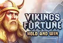 Vikings Fortune Hold And Win ค่าย booongo เว็บ สล็อต เว็บตรง SLOTXO จาก สล็อต xo