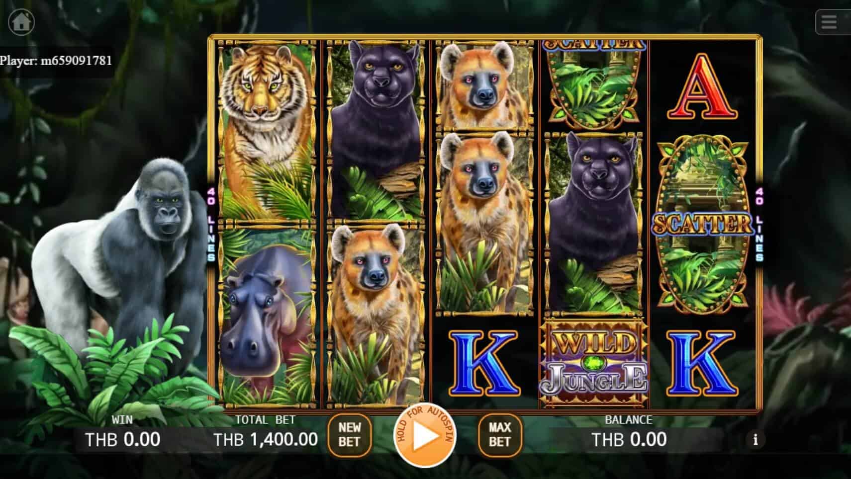 Wild Jungle KAGaming สล็อตโจ๊กเกอร์