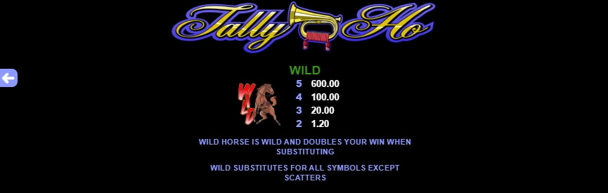 Tally Ho MICROGAMING slotxo 168