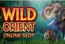 Wild Orient MICROGAMING slotxo