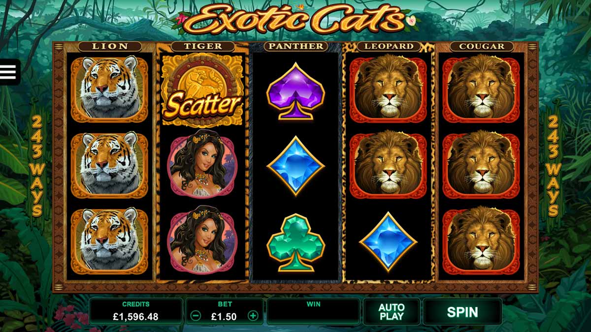 Exotic Cats MICROGAMING slotxo download