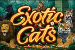 https://www.slotxo-gold.com/microgaming/exotic-cats/ 