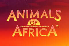 Animals of Africa MICROGAMING slotxo