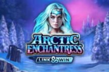 Arctic Enchantress MICROGAMING slotxo
