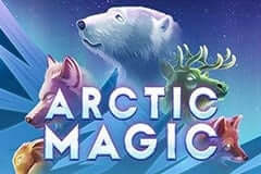 Arctic Magic MICROGAMING slotxo