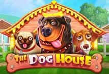 The Dog House Pragmatic Play slotxo
