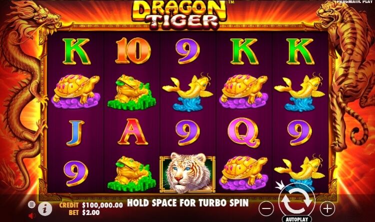 Dragon Tiger Pragmatic Play 168slotxo