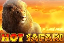 https://www.slotxo-gold.com/pragmatic-play/hot-safari/ 