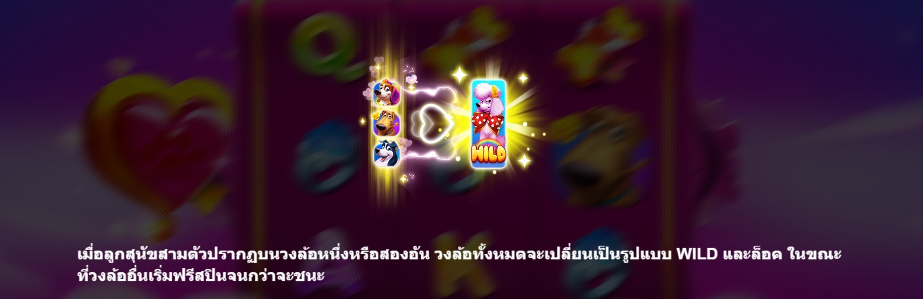 Puppy Love BoleBit Gaming slotxo ฟรีเครดิต