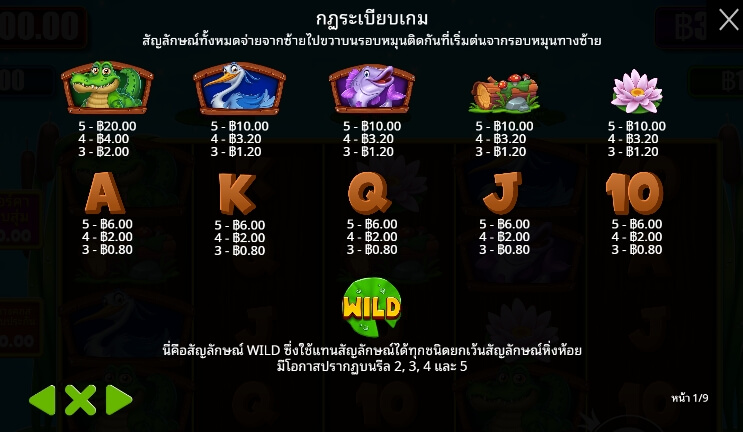Tiny Toads ค่ายเกม Pragmatic Play จากทาง xo slot