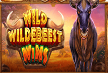 Wild-Wildebeest-Wins ค่ายเกม Pragmatic Play จากทาง slotxo 168