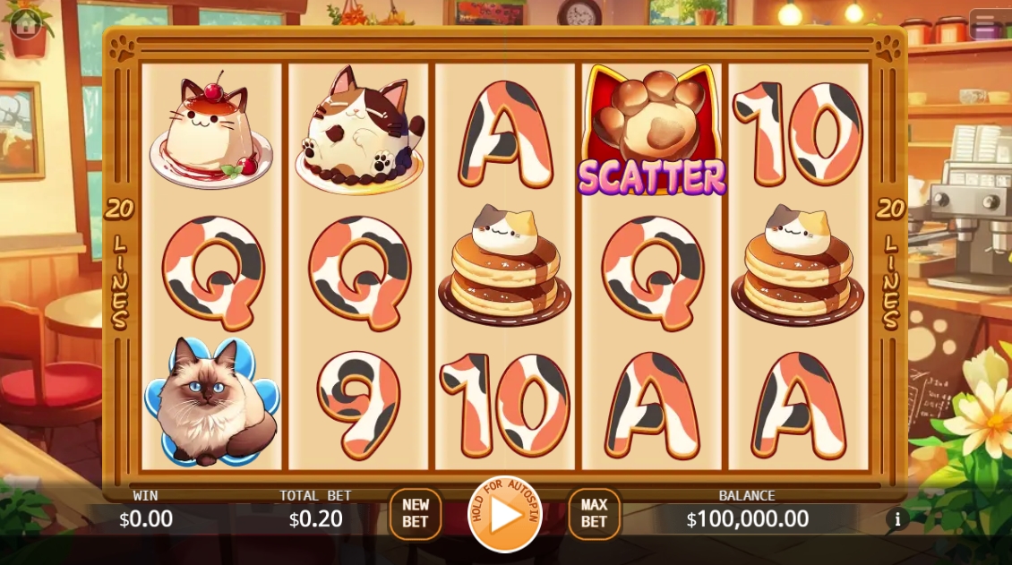 Cafe Meow KA-GAMING สล็อต XO เว็บตรง