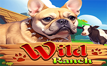 Wild-Ranch-KA-GAMING-SLOT-XO